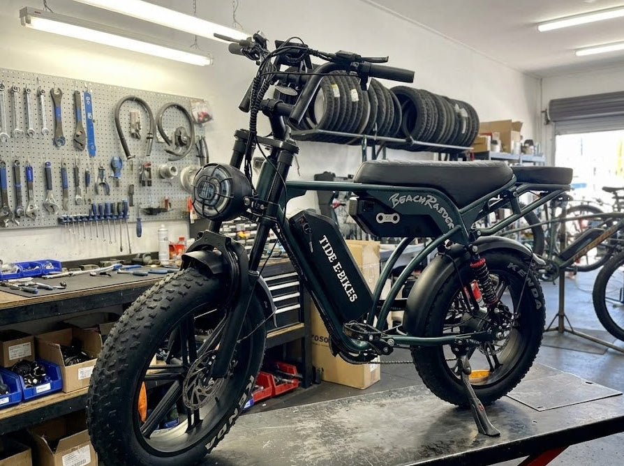 Warranty – Local 12 Months